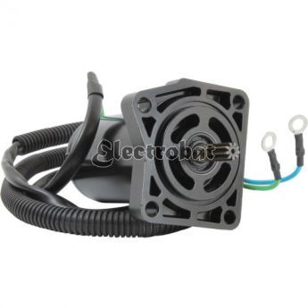 Trim Motor